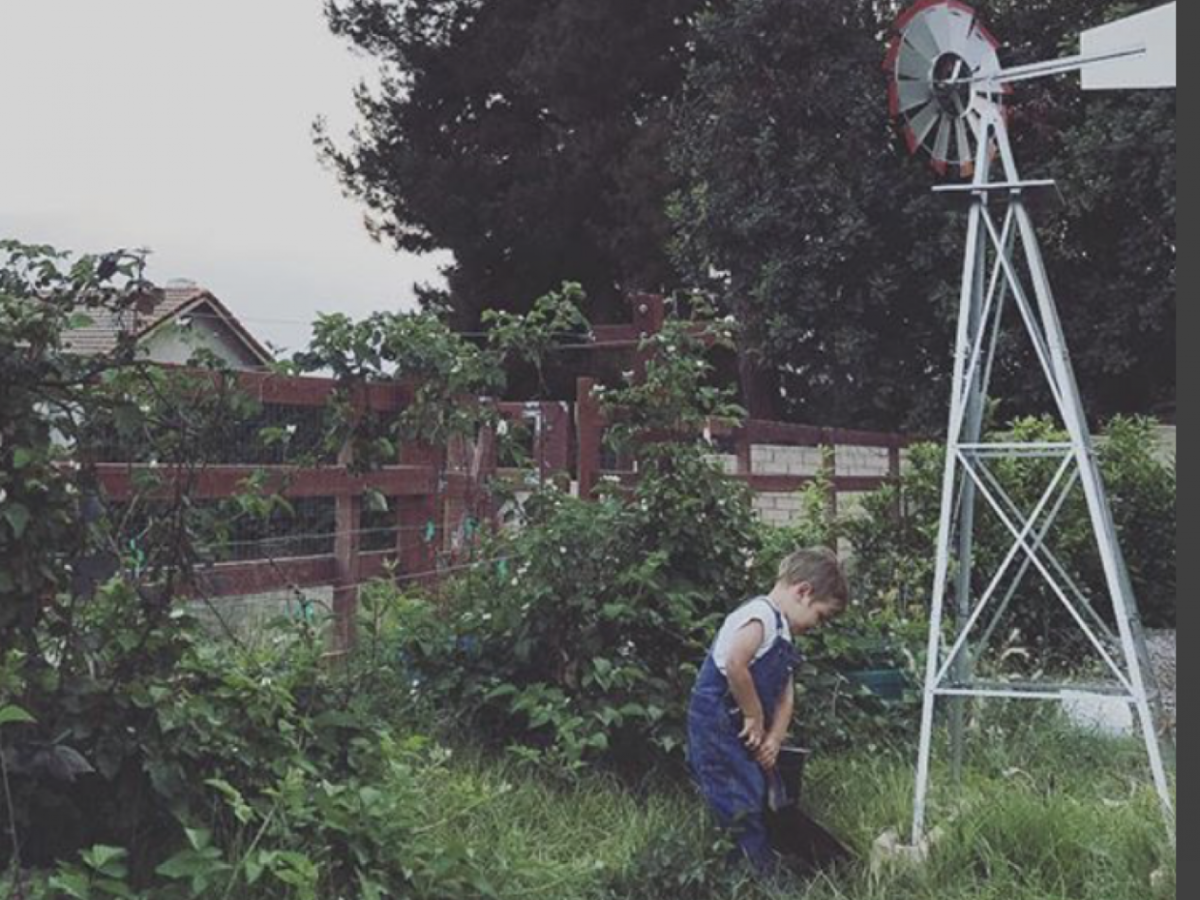 Boy in a garden with windmill